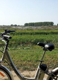 Balatonfenyves-Wildwasser-Sumpf