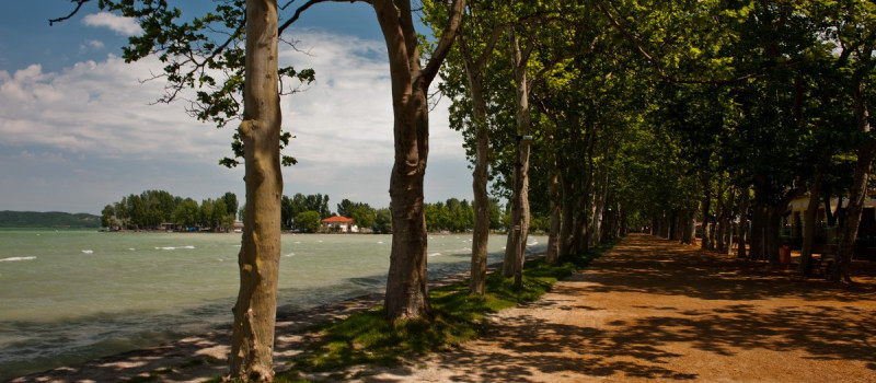 CSD_9222__csdfoto.hu_