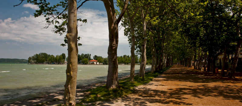 CSD_9222__csdfoto.hu_