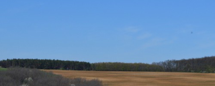 Eine Mountanbike-Tour