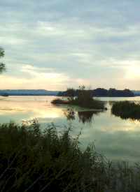 Klein-Balaton Tour von Hévíz
