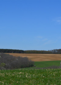 Kötcse - Kereki