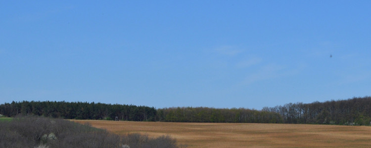 Kötcse - Kereki