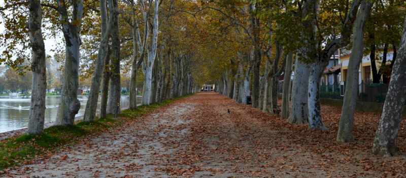 Kvassay Promenade