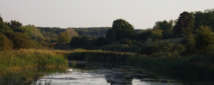 Madárdalos élmények a Töreki Természetvédelmi Területen