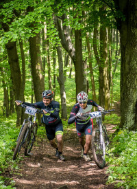 Tour of „Bakonyerdő”