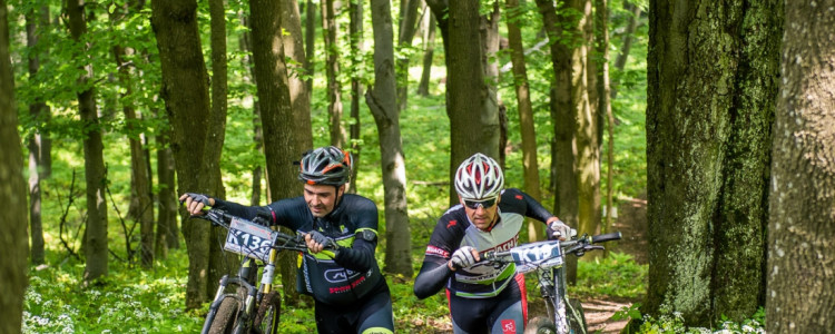 Tour of „Bakonyerdő”