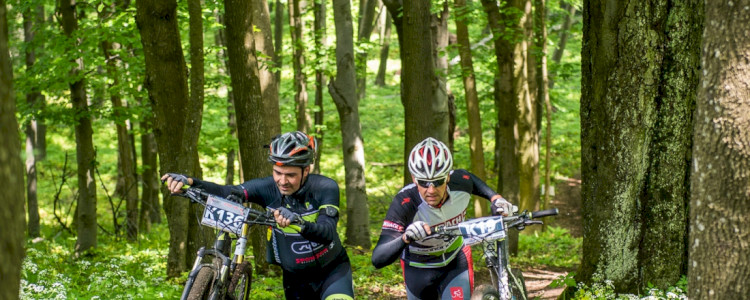 Tour of „Bakonyerdő”